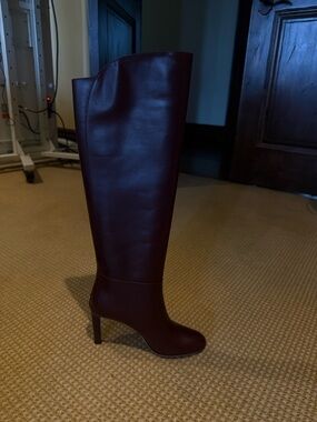 Jimmy Choo Tall Leather Over-the-Knee Boots in Dark Burgundy